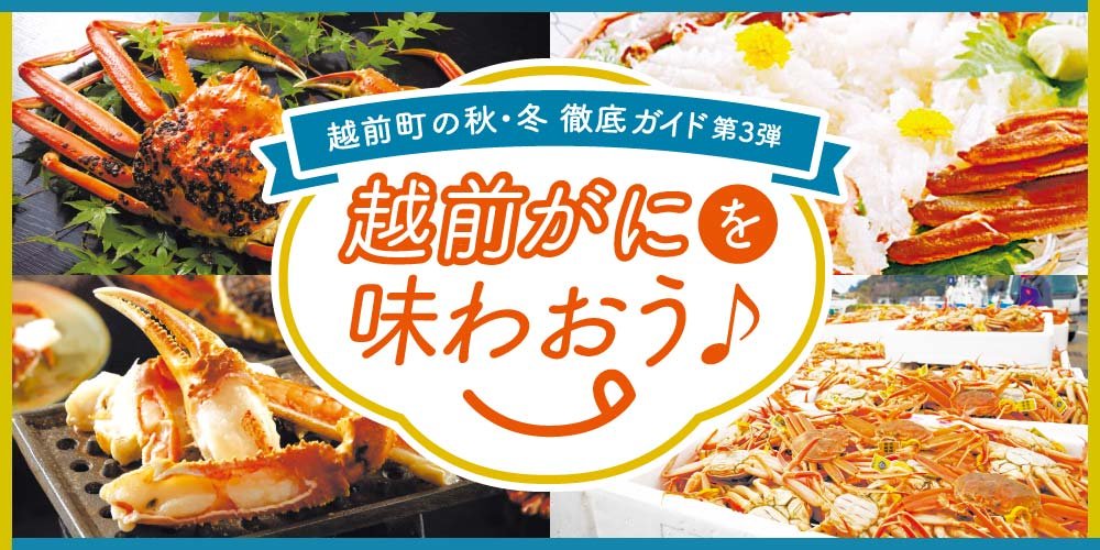越前町の秋・冬徹底ガイド 第3弾