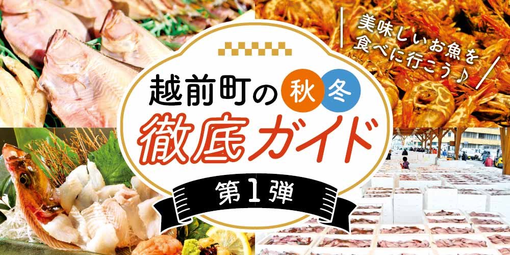 越前町の秋・冬徹底ガイド 第1弾