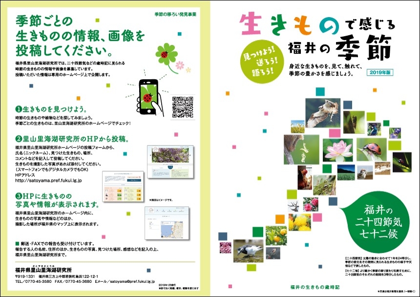 福井県／生きもので感じる福井の季節〜福井生きもの歳時記／A4 8P
