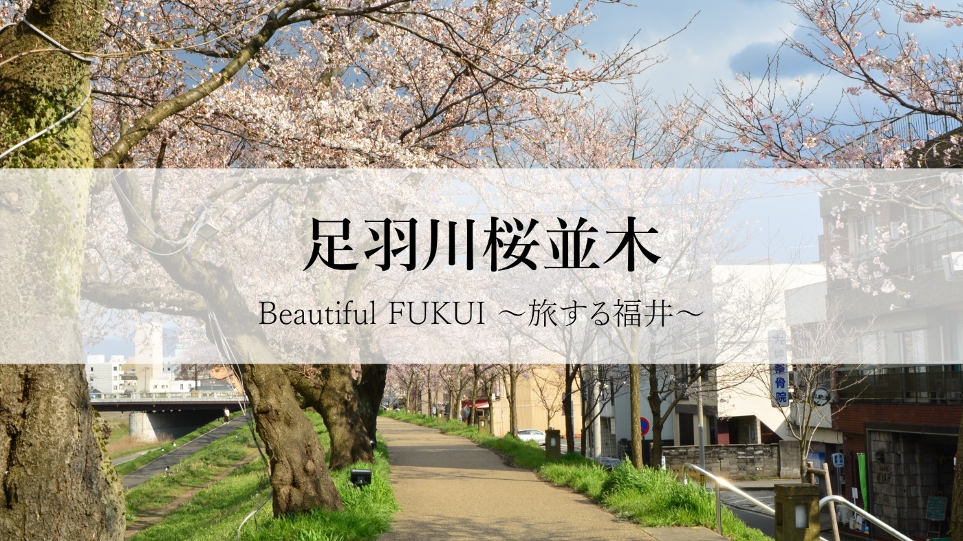 Beautiful Fukui 〜旅する福井〜　足羽川桜並木