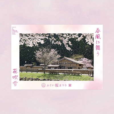 ふくい桜まつり2023／ポスター